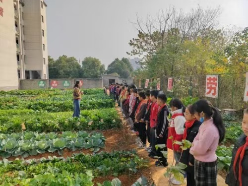 微信图片_20251211201046_953_2 微信图片_20251211201046_953_2