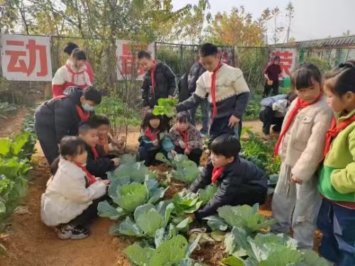 微信图片_20251211201046_953_2 微信图片_20251211201046_953_2