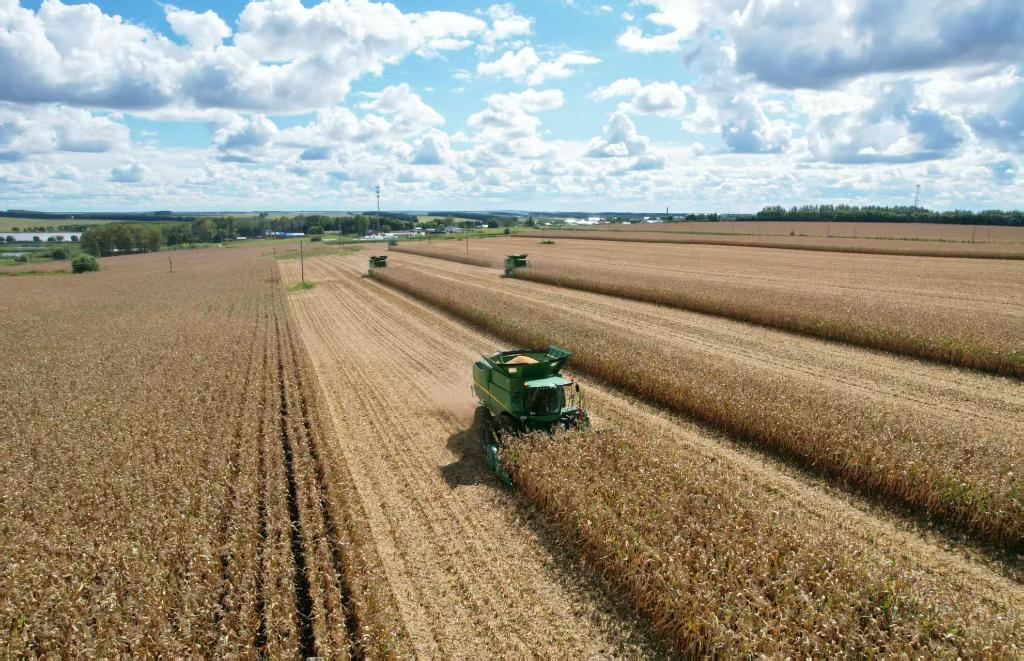 98e172b7404c8d93a4322d4dc567d86c_20251214925ac1b45064469a8e82e51aa26f7de9_7c68402372aa4ab68bb51336d4ee67bd 98e172b7404c8d93a4322d4dc567d86c_20251214925ac1b45064469a8e82e51aa26f7de9_7c68402372aa4ab68bb51336d4ee67bd