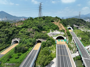 浙江甬台温高速公路改扩建工程北白象至南白象段建设稳步推进