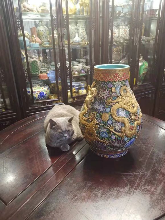 珐琅彩与清代御窑瓷器浅浮雕龙纹鎏金龙耳尊合影