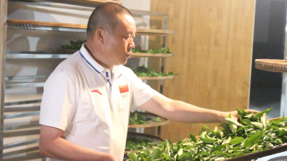 嘉环茶业熊国平