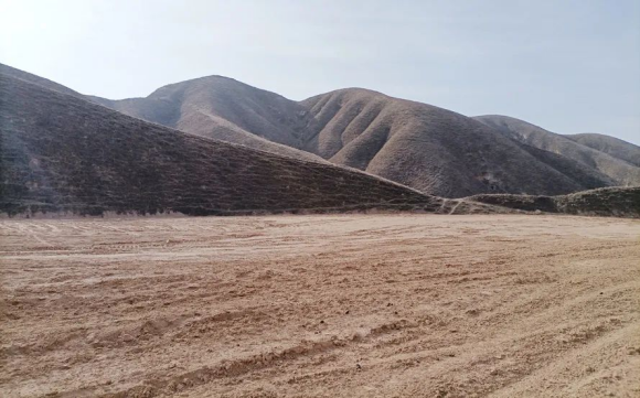 项目地实景